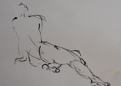 croquis-nue